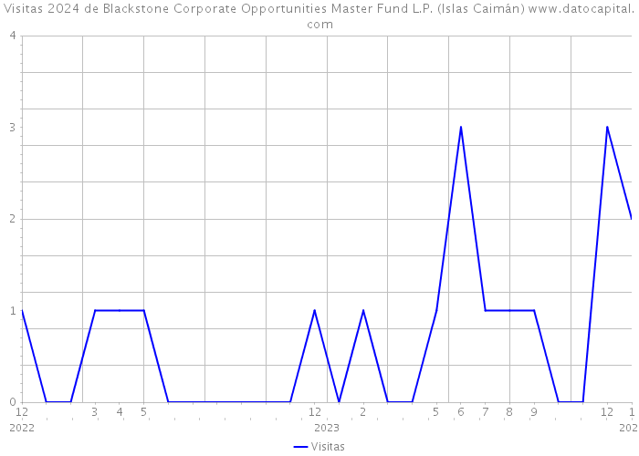 Visitas 2024 de Blackstone Corporate Opportunities Master Fund L.P. (Islas Caimán) 