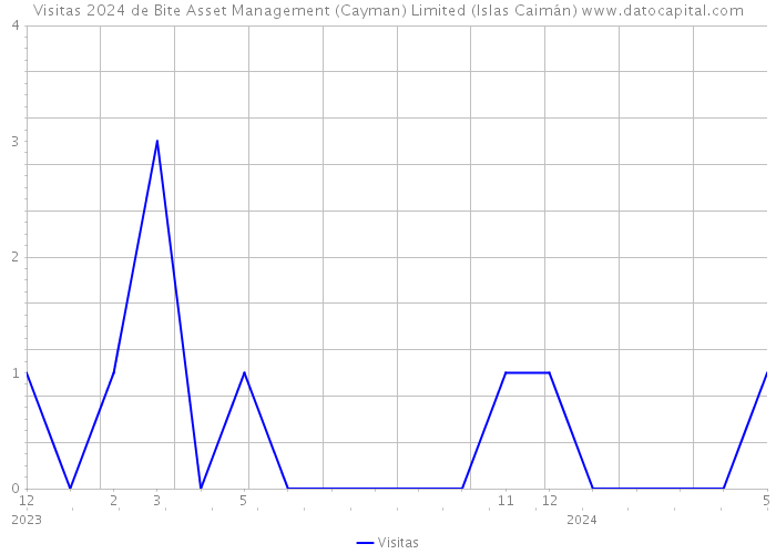 Visitas 2024 de Bite Asset Management (Cayman) Limited (Islas Caimán) 