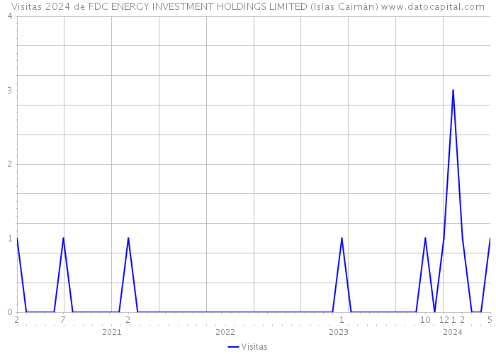 Visitas 2024 de FDC ENERGY INVESTMENT HOLDINGS LIMITED (Islas Caimán) 