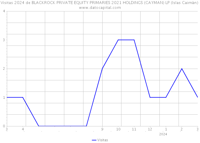 Visitas 2024 de BLACKROCK PRIVATE EQUITY PRIMARIES 2021 HOLDINGS (CAYMAN) LP (Islas Caimán) 