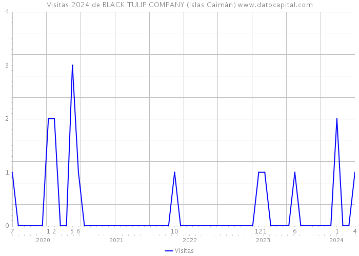 Visitas 2024 de BLACK TULIP COMPANY (Islas Caimán) 