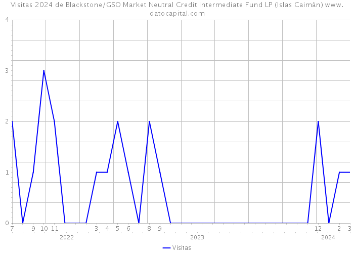 Visitas 2024 de Blackstone/GSO Market Neutral Credit Intermediate Fund LP (Islas Caimán) 