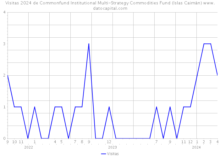 Visitas 2024 de Commonfund Institutional Multi-Strategy Commodities Fund (Islas Caimán) 