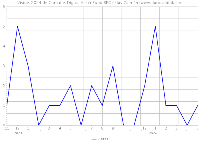 Visitas 2024 de Cumulus Digital Asset Fund SPC (Islas Caimán) 