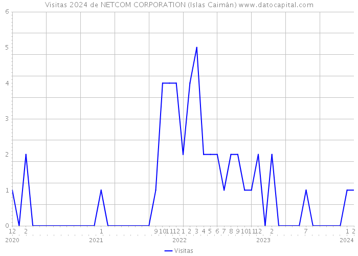 Visitas 2024 de NETCOM CORPORATION (Islas Caimán) 