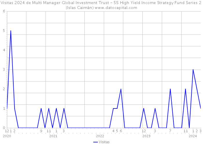 Visitas 2024 de Multi Manager Global Investment Trust - 55 High Yield Income Strategy Fund Series 2 (Islas Caimán) 