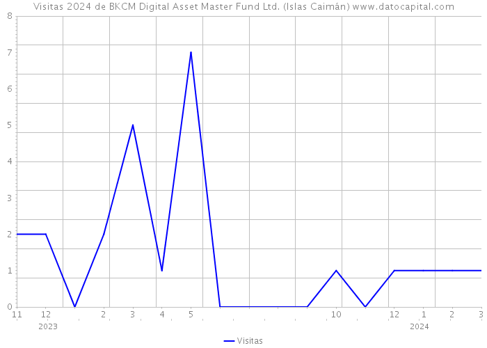 Visitas 2024 de BKCM Digital Asset Master Fund Ltd. (Islas Caimán) 