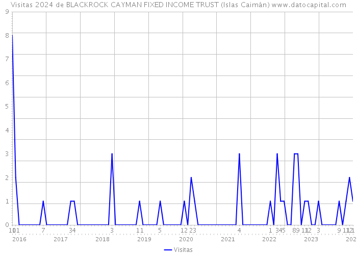 Visitas 2024 de BLACKROCK CAYMAN FIXED INCOME TRUST (Islas Caimán) 