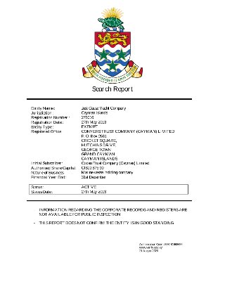 Company Search Report Details (página 1)